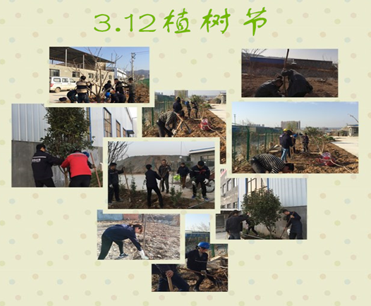 寶雞捷銳“迎春風(fēng)，綠家園”植樹節(jié)(圖3)